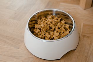 宠物食品检验测试服务