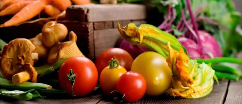 食品溯源检测认证服务